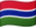 Vlajka Gambie