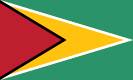 Vlajka Guyany