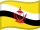 Vlajka Bruneja