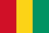 Vlajka Guiney